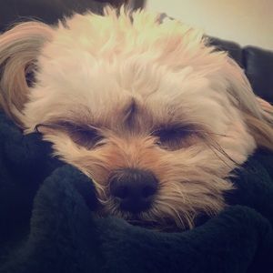 Meet your Posher, Ava